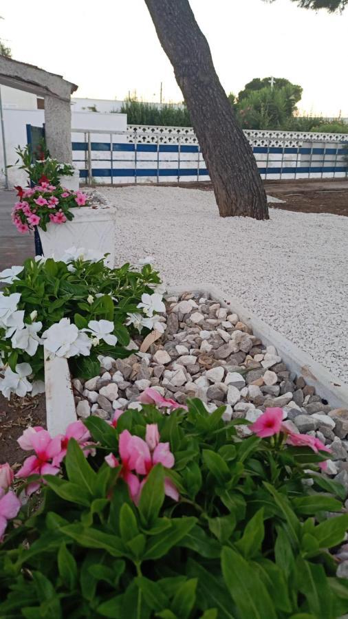 I Girasoli Srls Nocleg ze śniadaniem